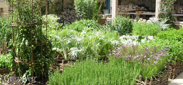 A well-designed raised bed garden
