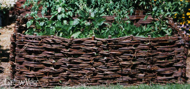 Willow and hazel wicker raised beds for vegetables