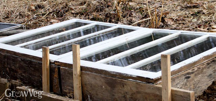 Cold frame made from window frames