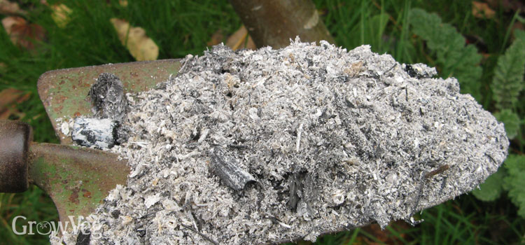 Wood ash