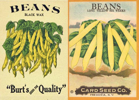 Yellow wax bean seed packets