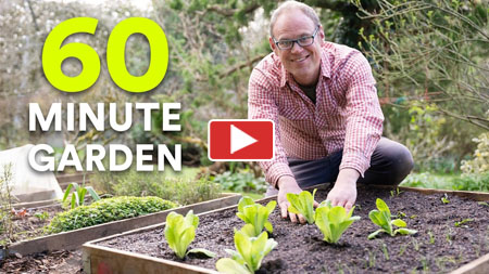 Start a Garden in 60 Minutes