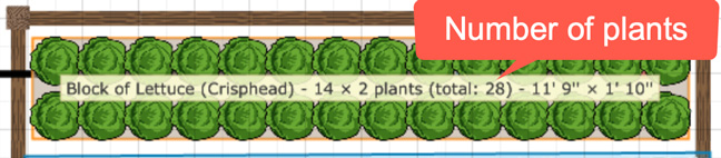 Number of plants in rows or blocks