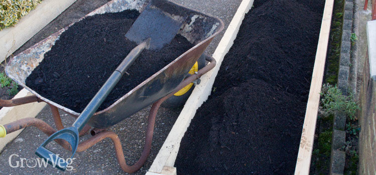 Filling a raised bed with compost