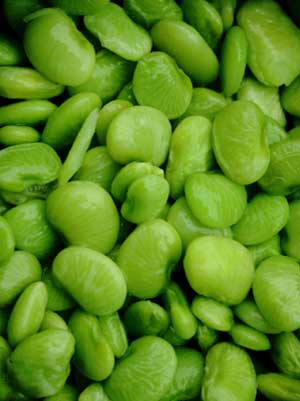 Beans (Lima)