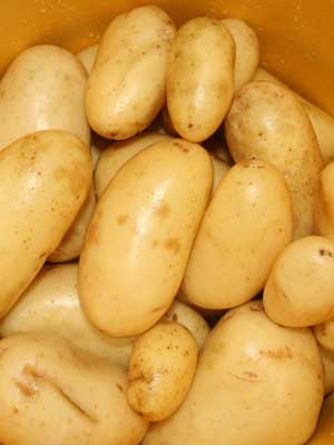 Potatoes (Early)