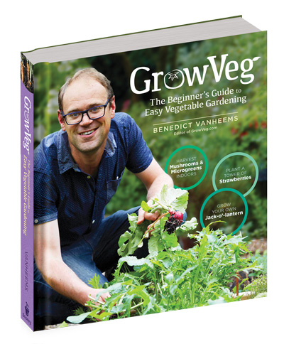 GrowVeg: The Beginner's Guide to Easy Vegetabel Gardening Book